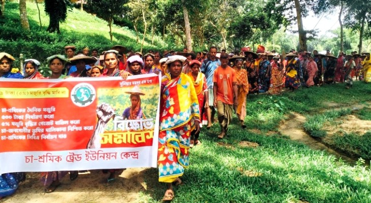 ১৮৫ বছরের বঞ্চনা মজুরি বৈষম্যের বিরুদ্ধে ফুঁসে উঠল চা শ্রমিকরা